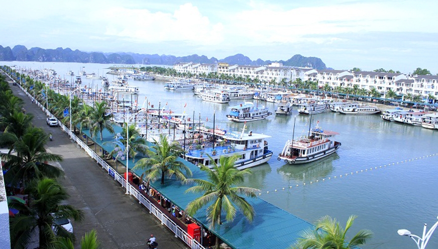 cảng tàu du lịch quốc tế Tuần Châu - saomaitourist