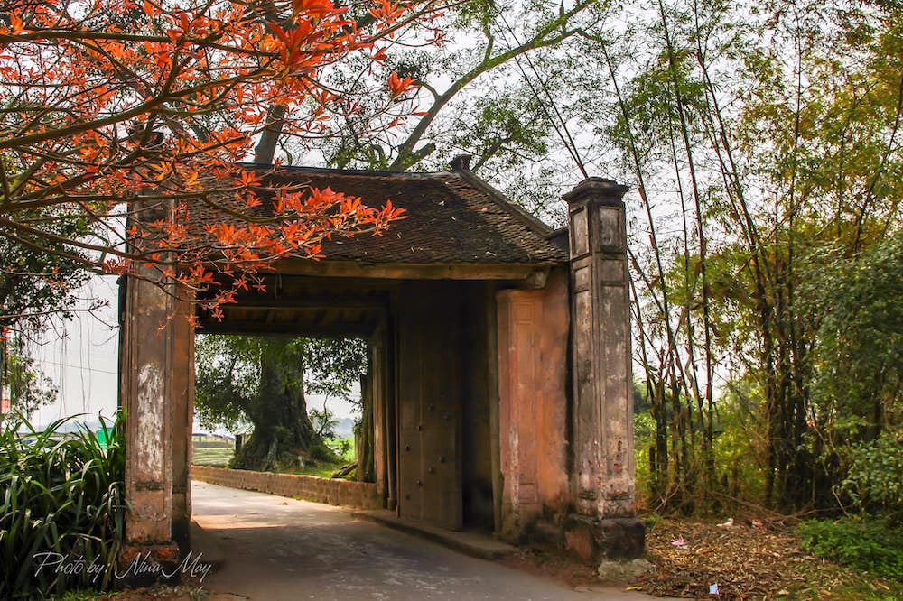 Tour Làng Cổ Đường Lâm 1 Ngày