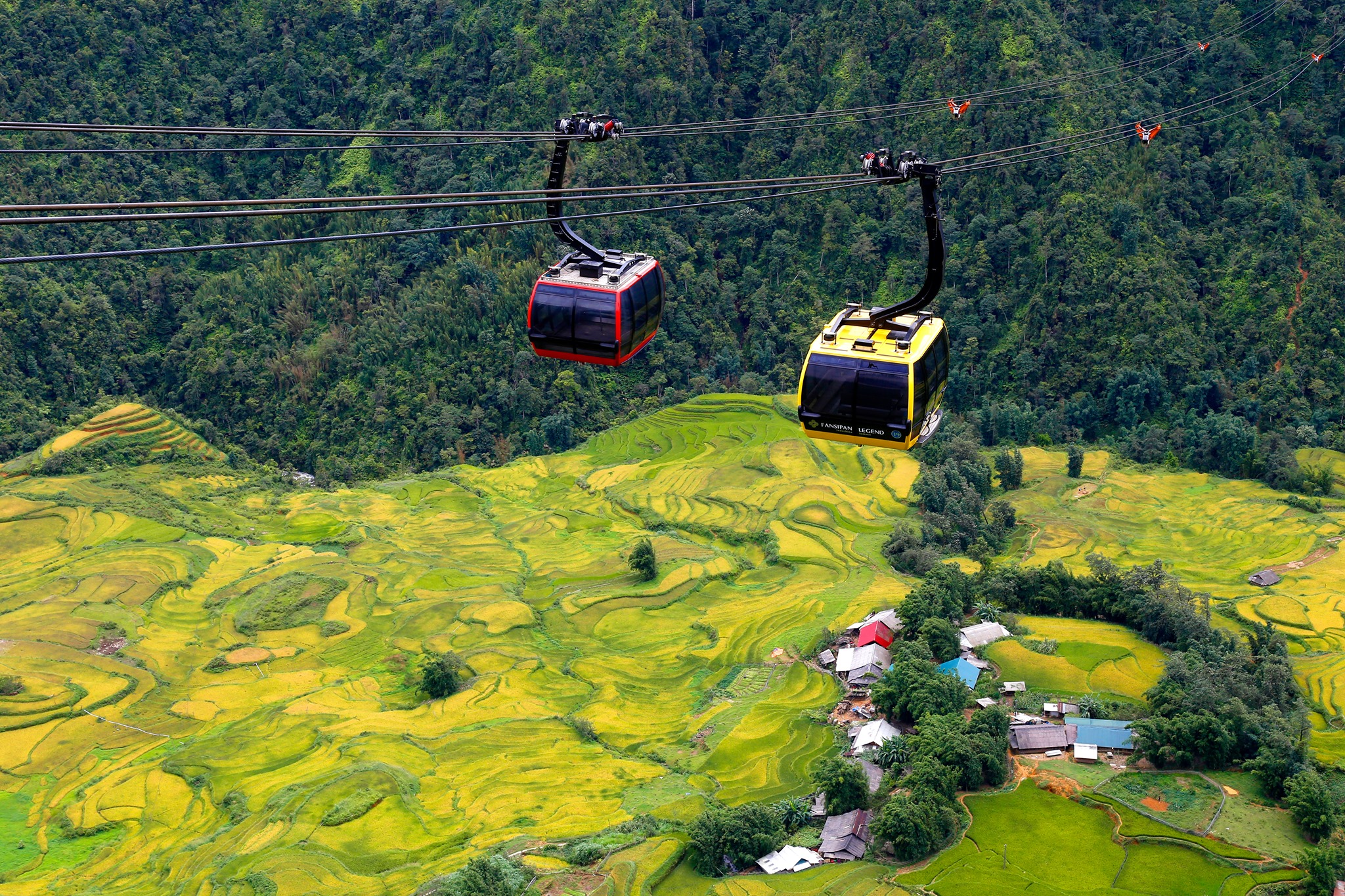 Tour Hà Nội Sapa 2 ngày 1 đêm - Giá tốt 2025