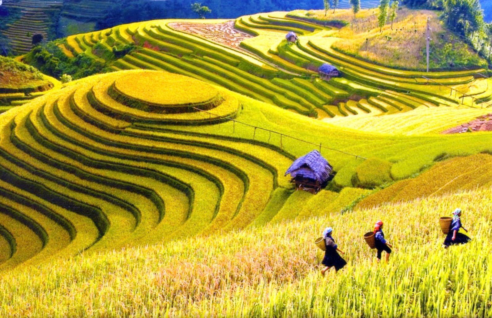 Tour Hà Nội - Hà Giang 3 ngày 2 đêm
