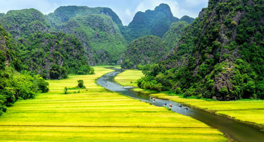 Tour Tuyệt Tình Cốc - Tam Cốc - Hang Múa 1 ngày