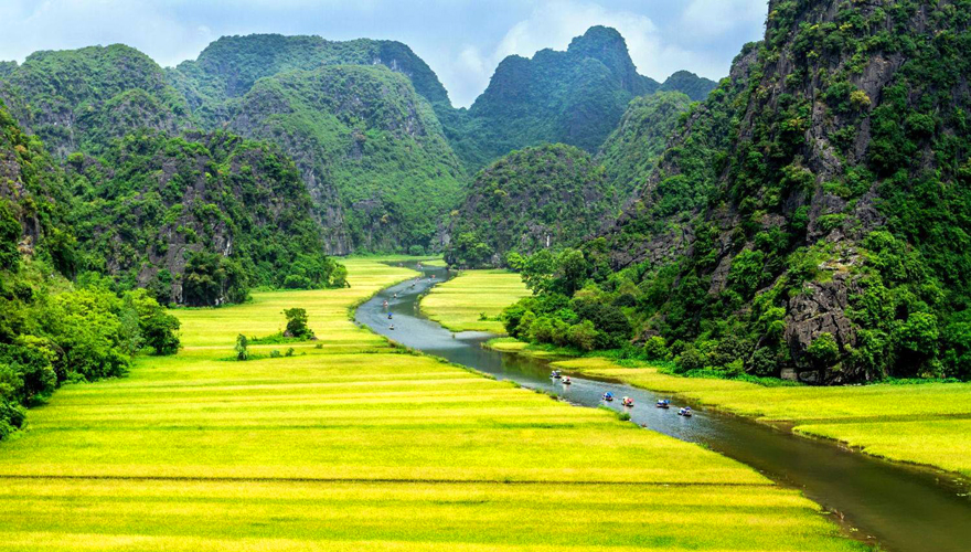 Tour Tuyệt Tình Cốc - Tam Cốc - Hang Múa 1 ngày