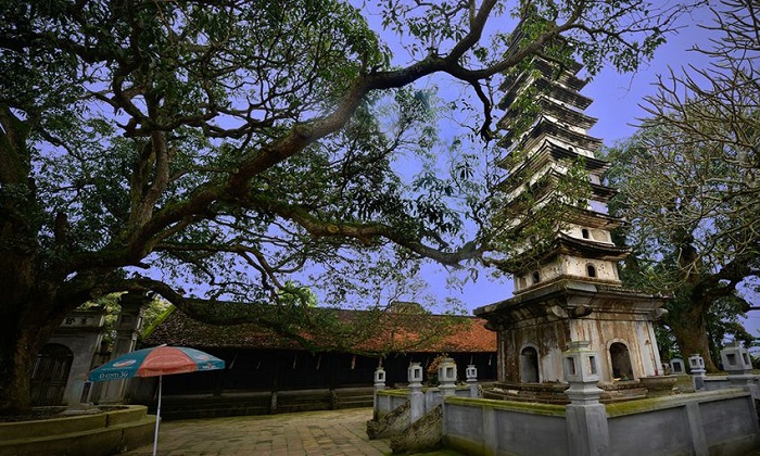 Chùa Phổ Minh, Ninh Bình