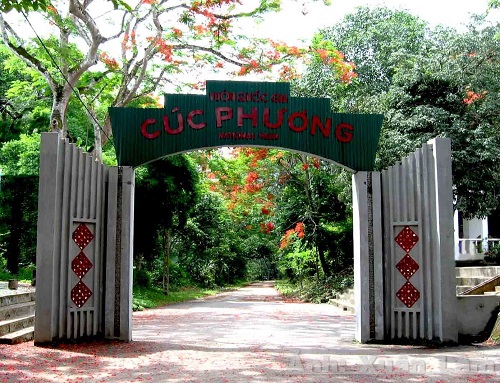 vườn quốc gia Cúc Phương