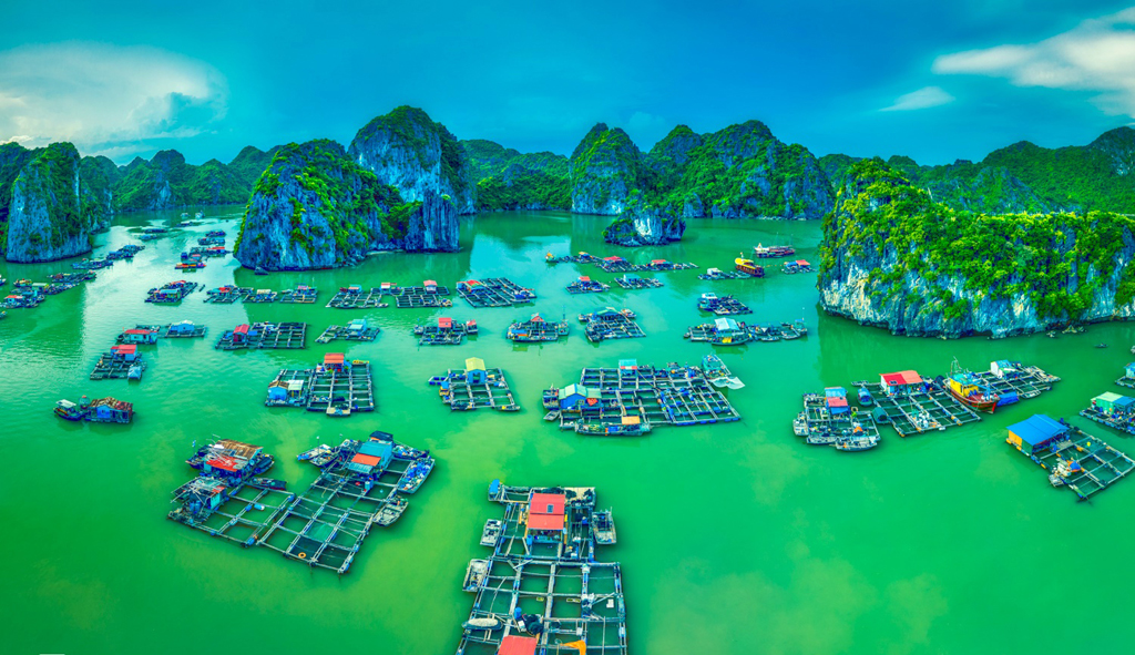 làng chài trên vịnh Lan Hạ làng chài trên vịnh Lan Hạ